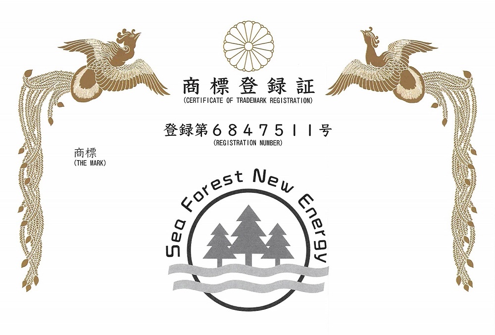 Certificate - Sea Forest New Energy Japan Category 9 - Valid until 2034.9.25